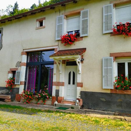 Apartament Le Logis Aux Digitales La Croix-aux-Mines Zewnętrze zdjęcie