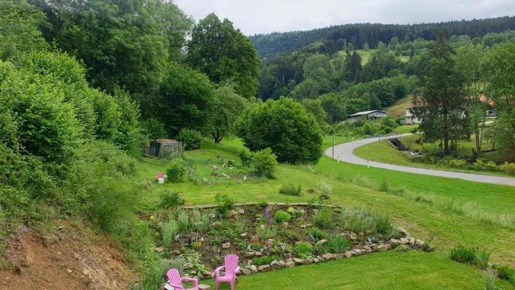 Apartament Le Logis Aux Digitales La Croix-aux-Mines Zewnętrze zdjęcie