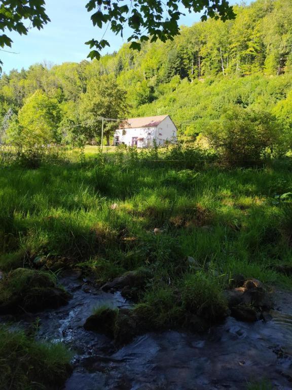 Apartament Le Logis Aux Digitales La Croix-aux-Mines Zewnętrze zdjęcie