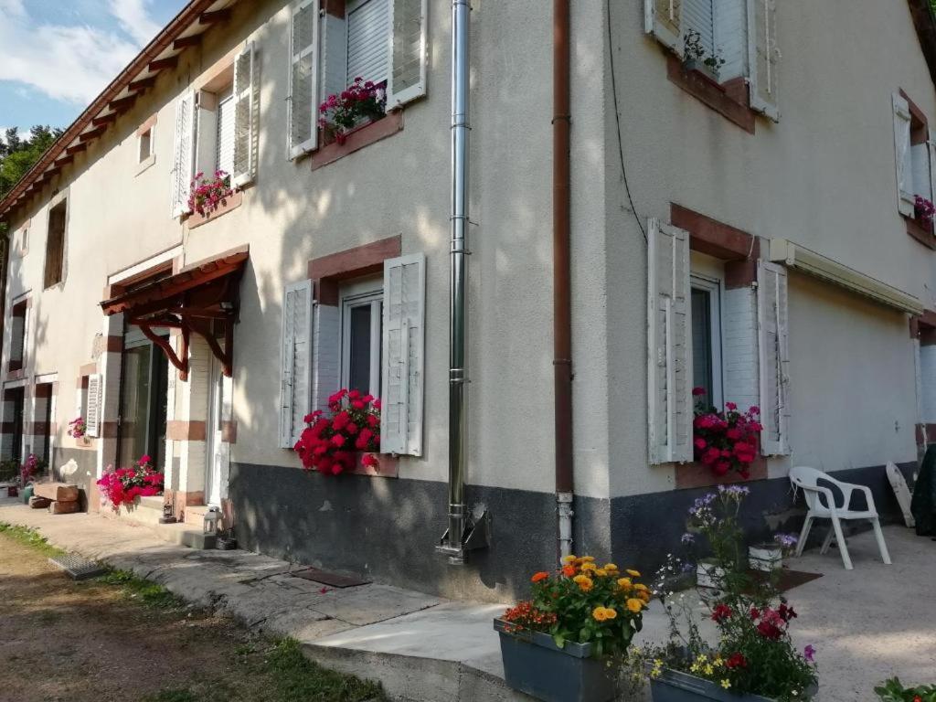 Apartament Le Logis Aux Digitales La Croix-aux-Mines Zewnętrze zdjęcie