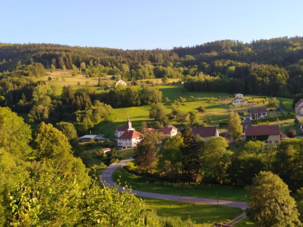 Apartament Le Logis Aux Digitales La Croix-aux-Mines Zewnętrze zdjęcie