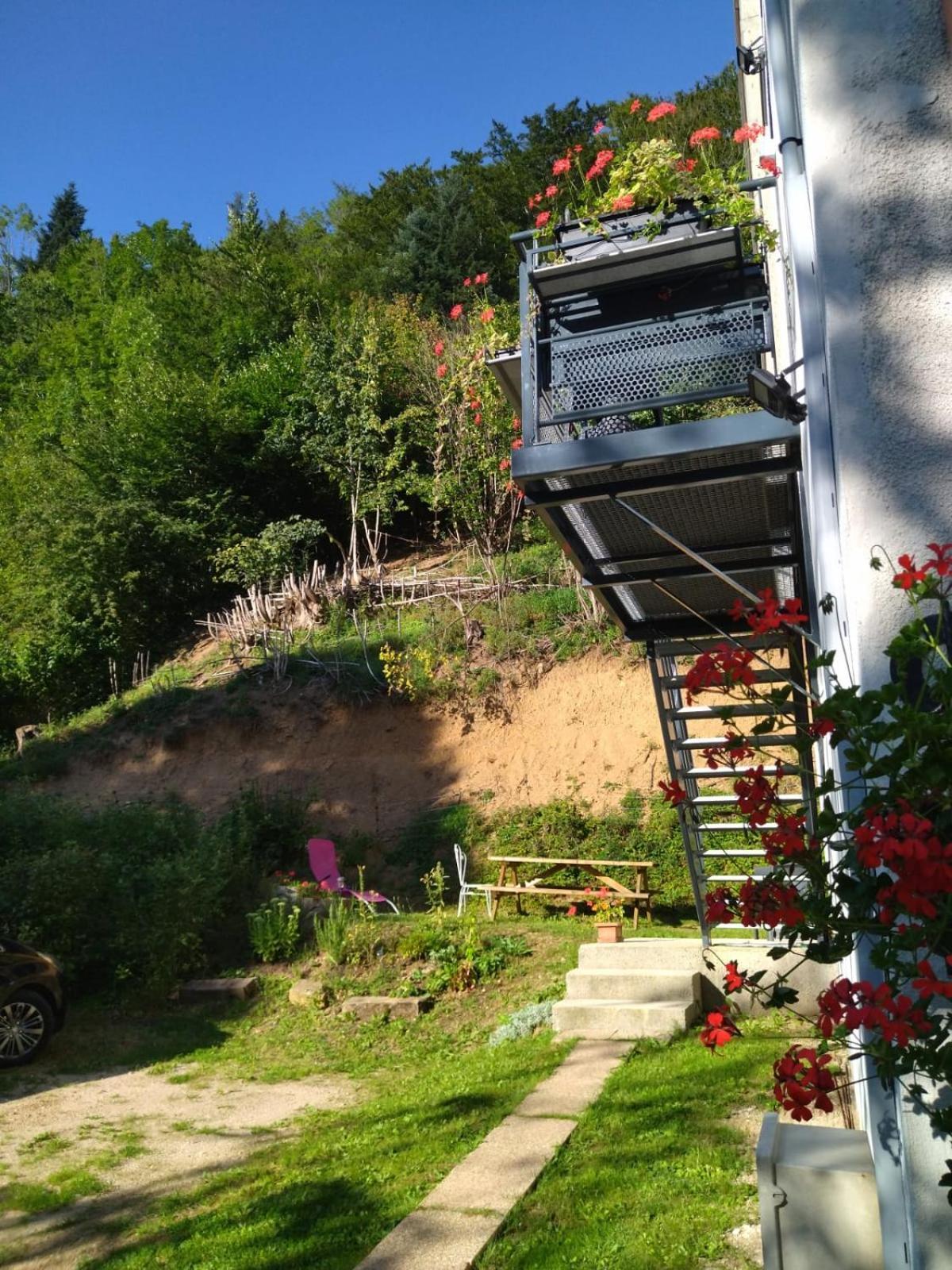 Apartament Le Logis Aux Digitales La Croix-aux-Mines Zewnętrze zdjęcie